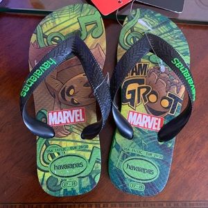 havaianas groot